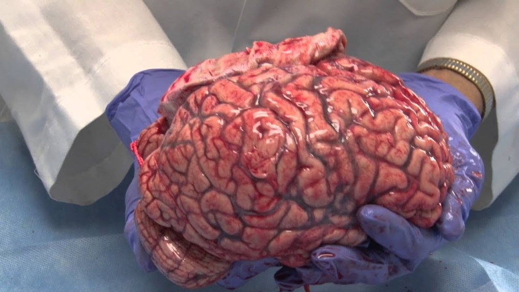 A Mind on the Razor’s&nbsp;Edge